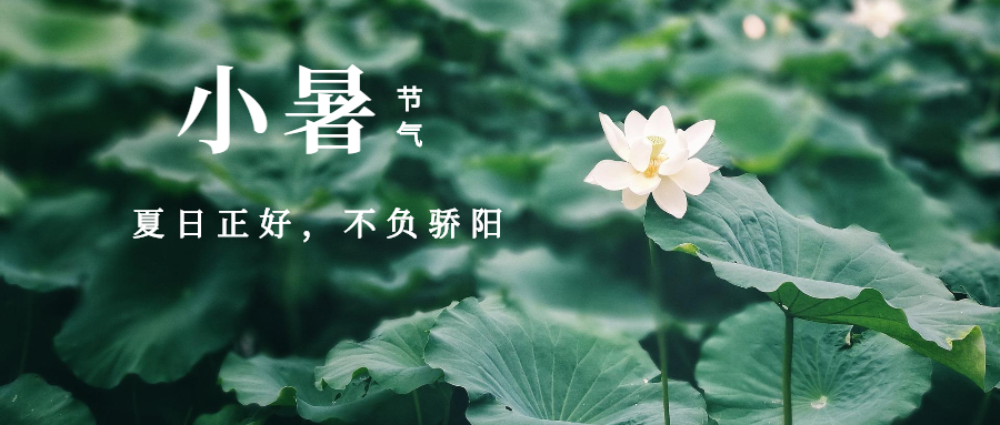 小暑：愿你心中有智慧，无热无燥，随处可清凉。